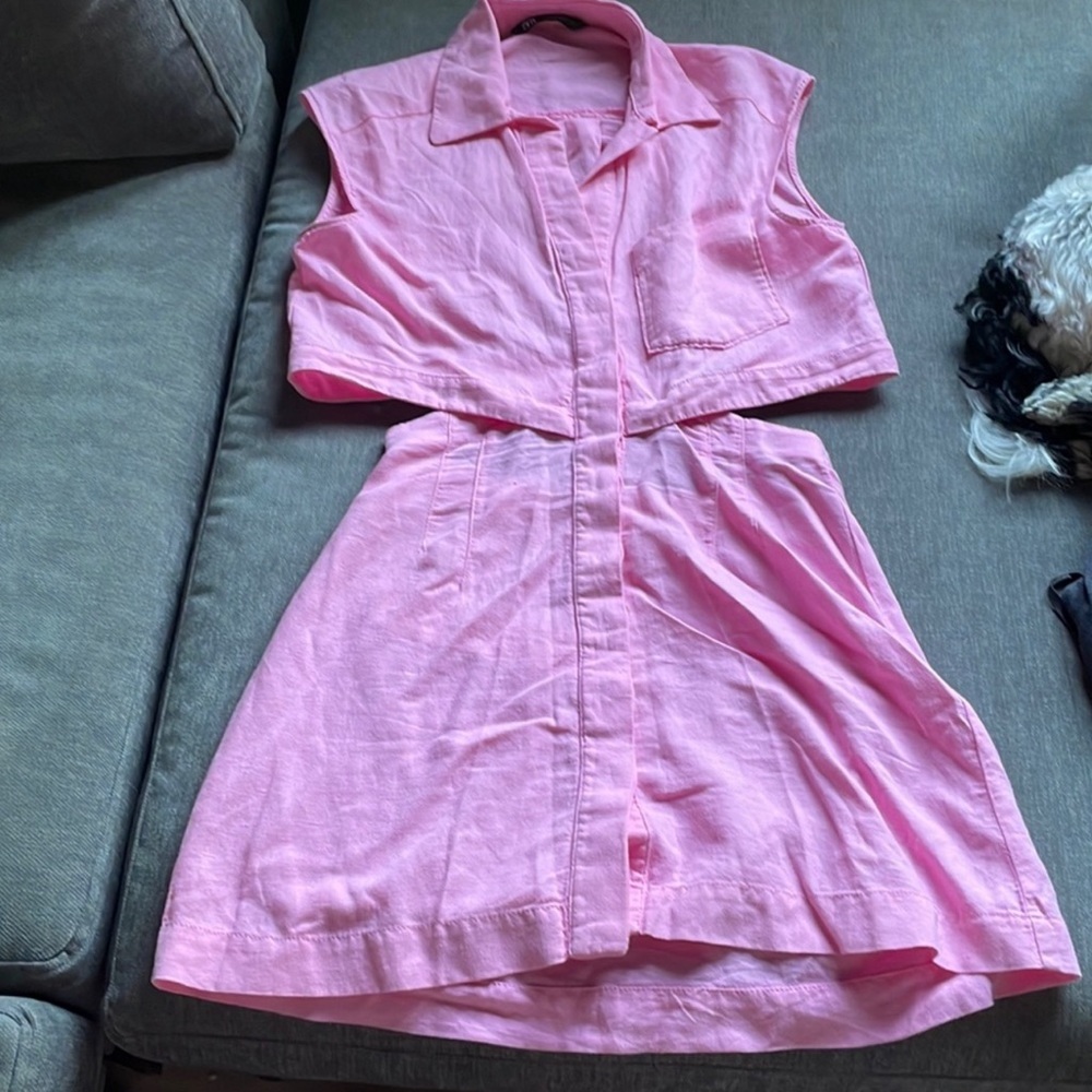 Zara button down linen pink dress